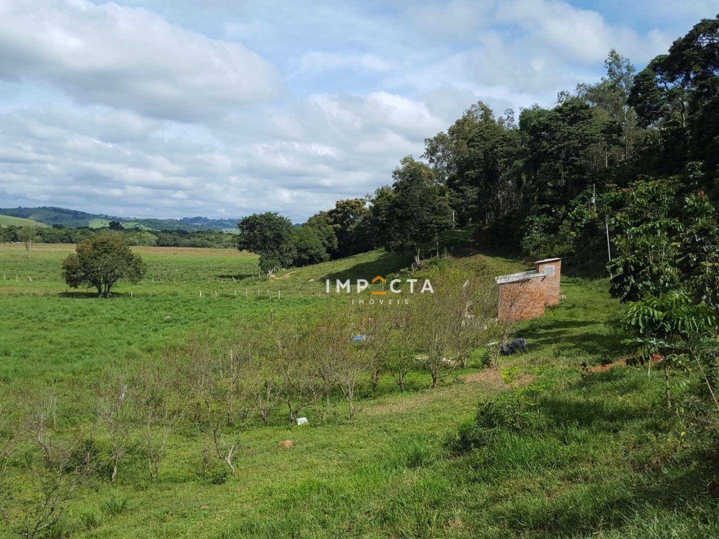 Terreno à venda, 40000M2 - Foto 2