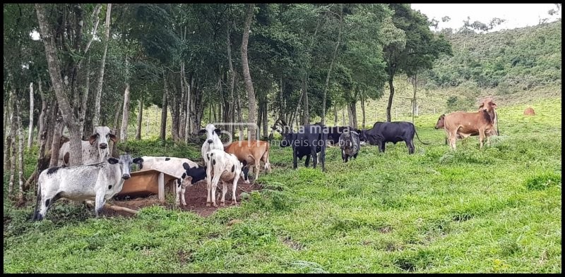 Fazenda à venda com 2 quartos, 24m² - Foto 32