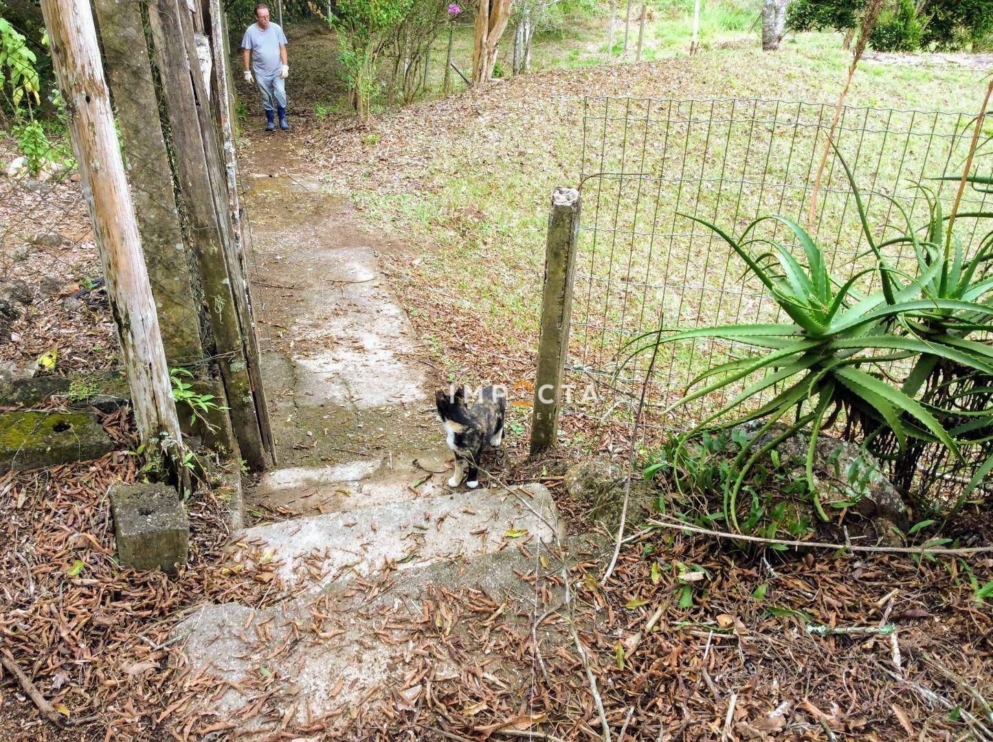 Chácara à venda com 3 quartos, 150m² - Foto 35