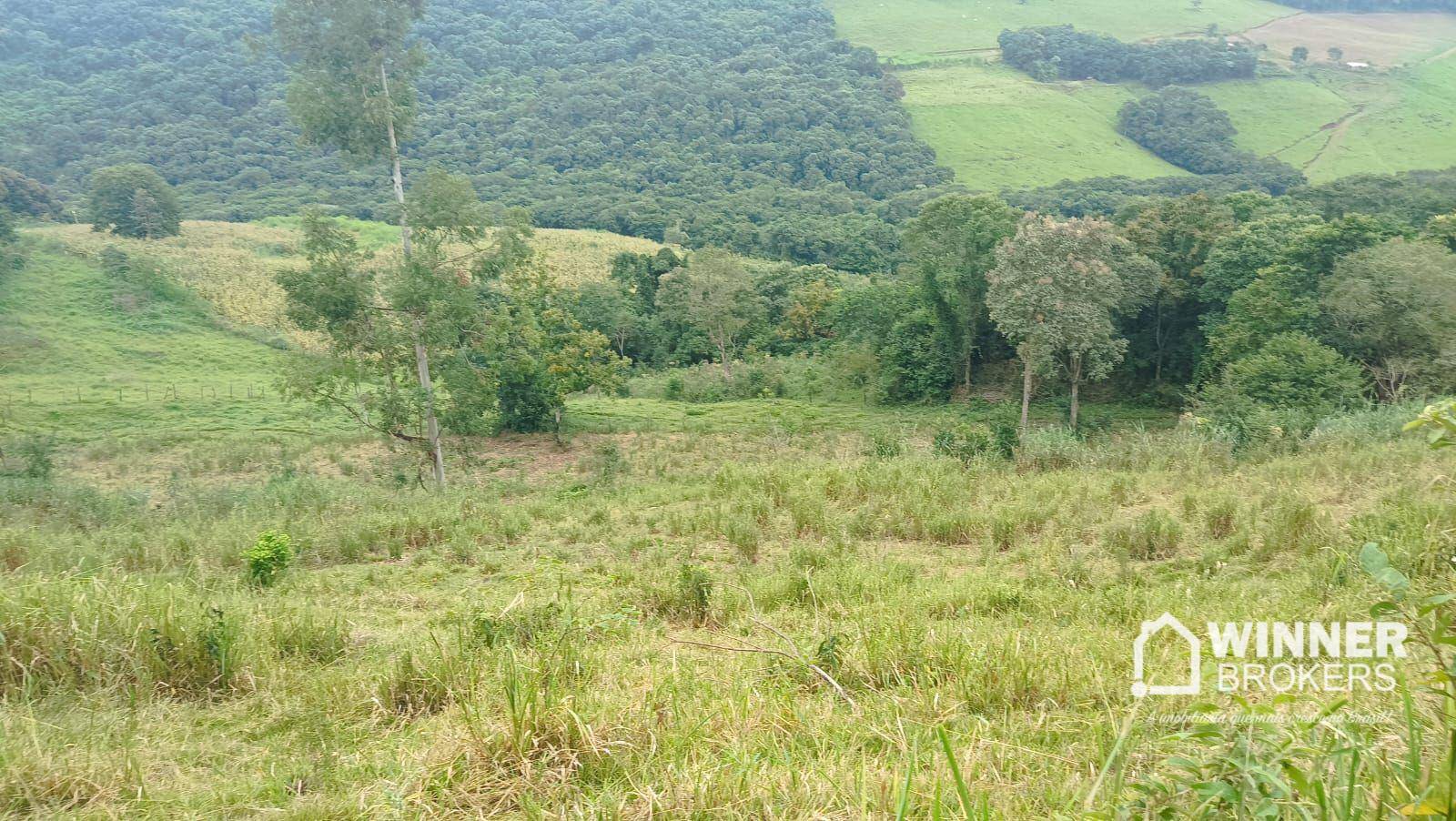 Sítio, 4 quartos, 34 hectares - Foto 21