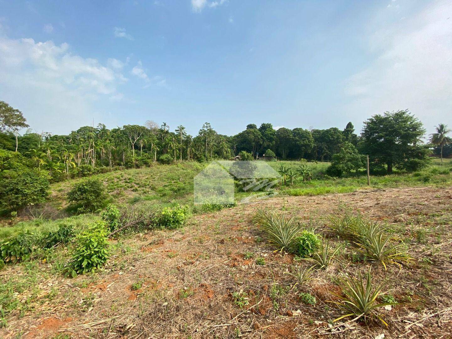 Terreno à venda, 15400M2 - Foto 5