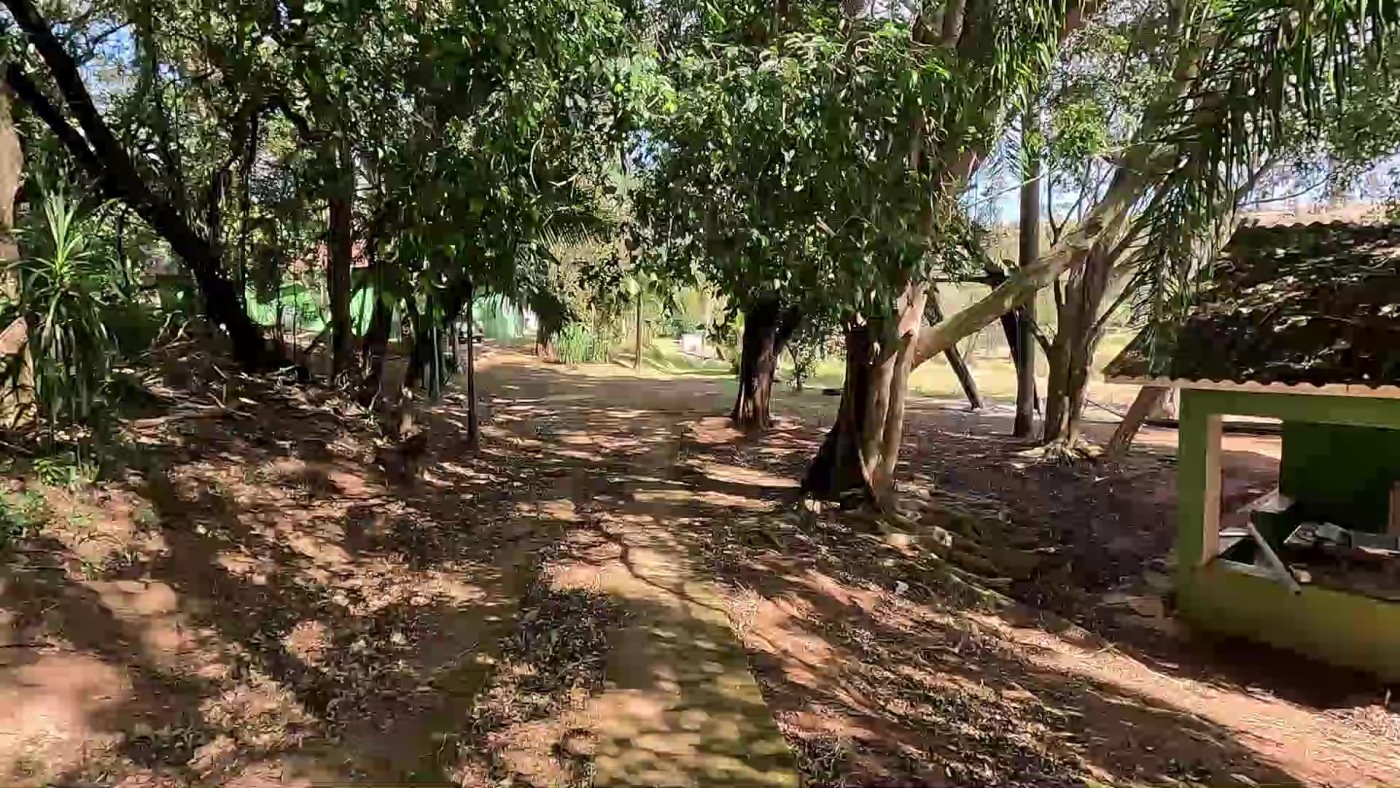 Sítio à venda com 3 quartos, 24000m² - Foto 6