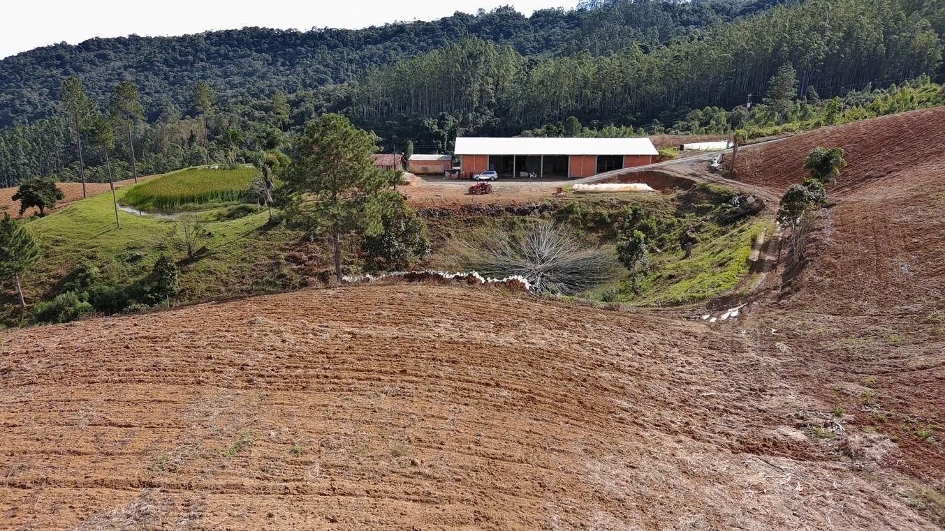 Fazenda à venda com 3 quartos, 260000m² - Foto 9