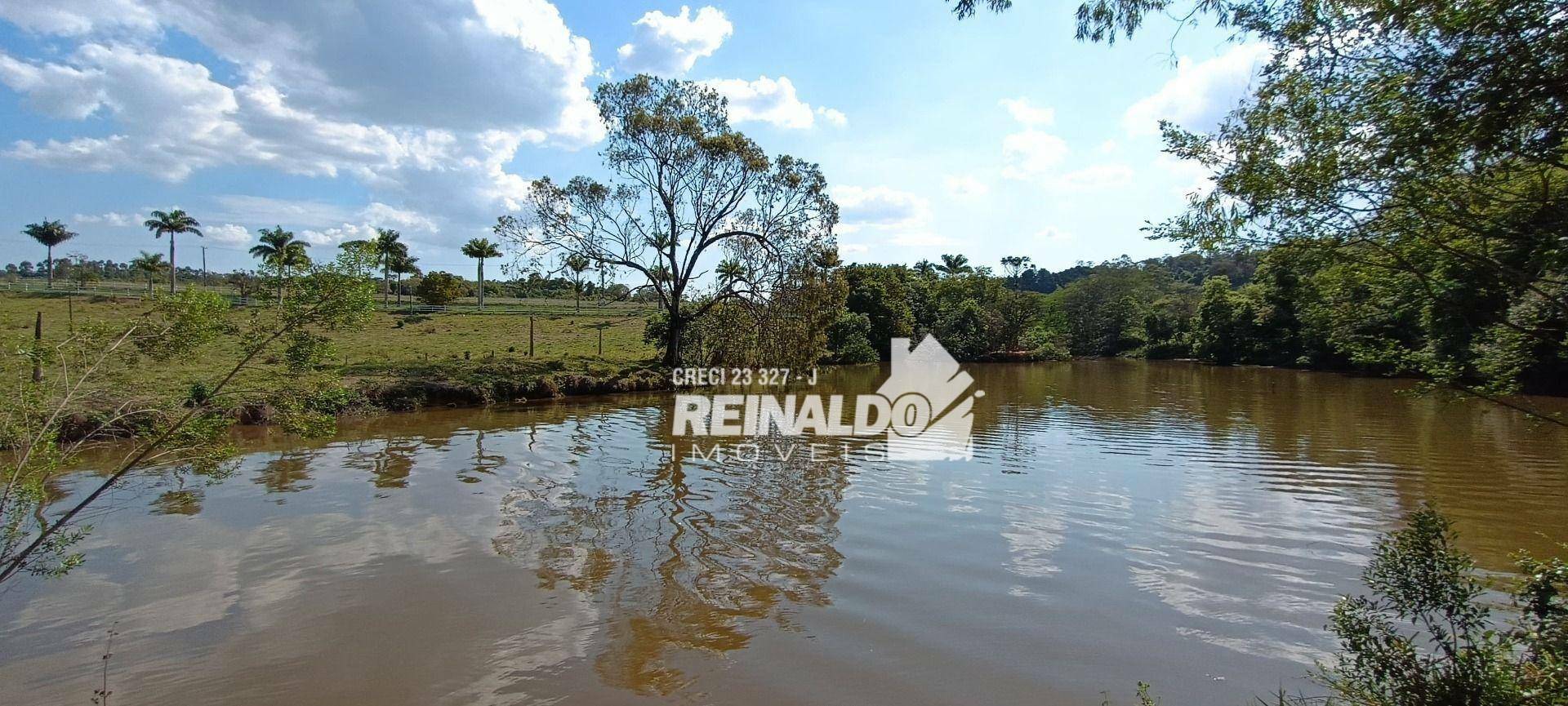 Haras e Área Rural Padrão à venda com 16 quartos, 2500m² - Foto 195