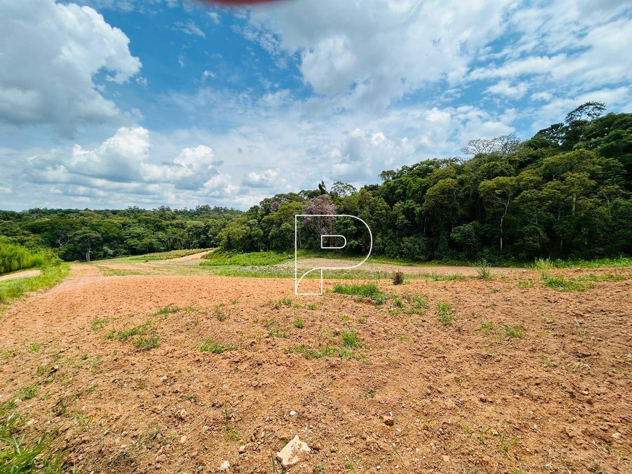 Terreno, 5 hectares - Foto 10