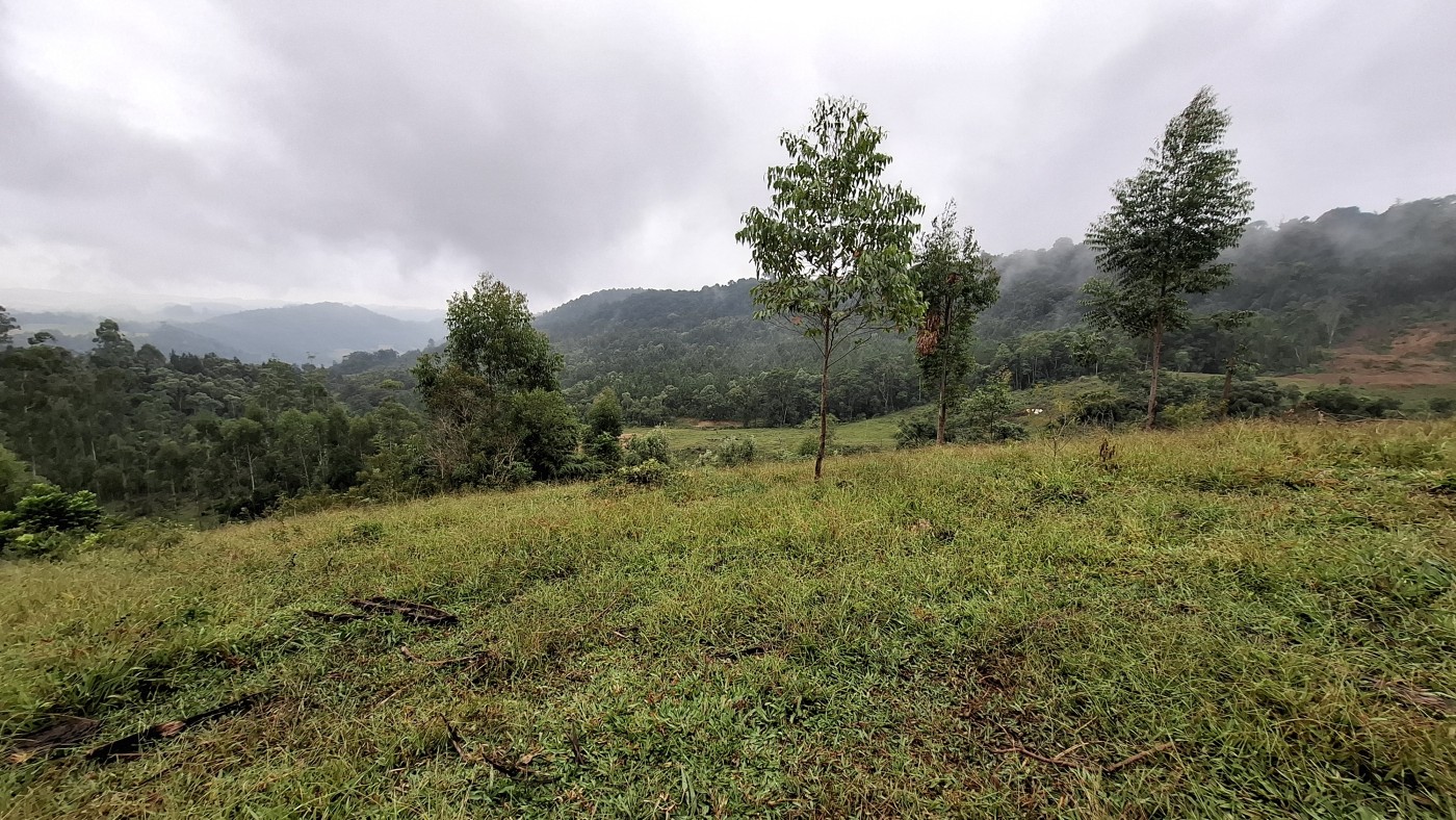Sítio à venda, 248000m² - Foto 40