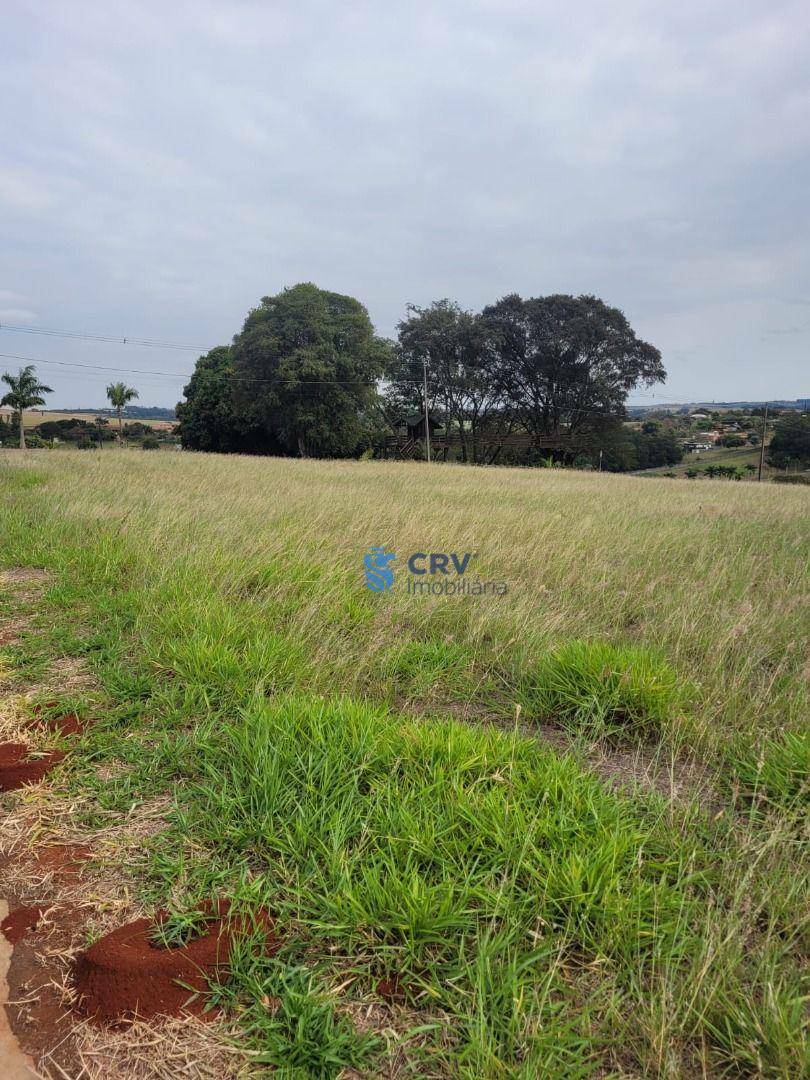 Loteamento e Condomínio à venda, 1562M2 - Foto 10