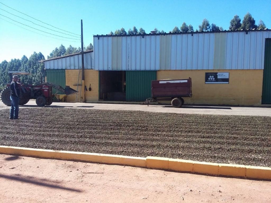 Fazenda-Sítio-Chácara, 800 hectares - Foto 1