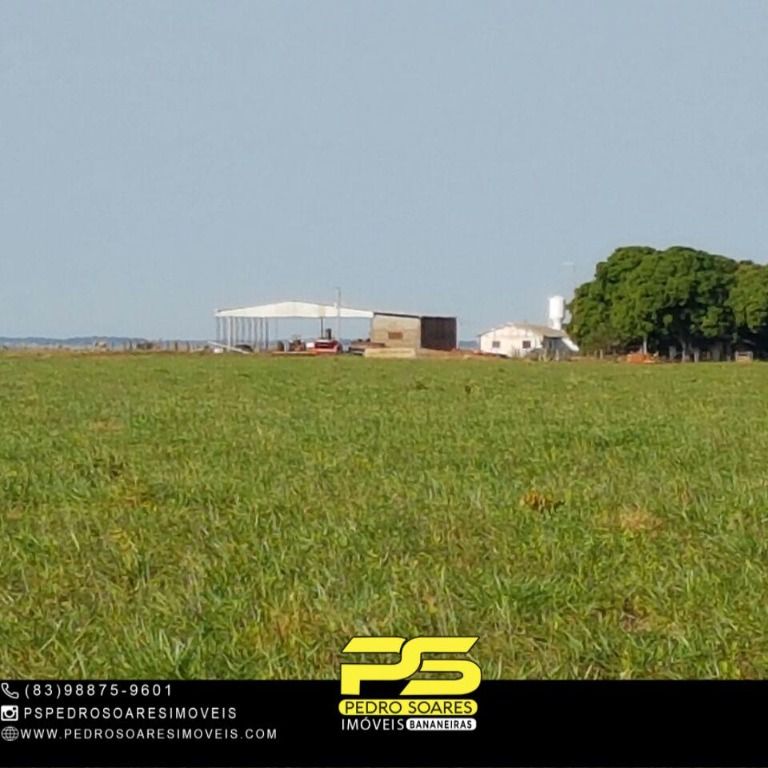 Fazenda-Sítio-Chácara, 101 hectares - Foto 4
