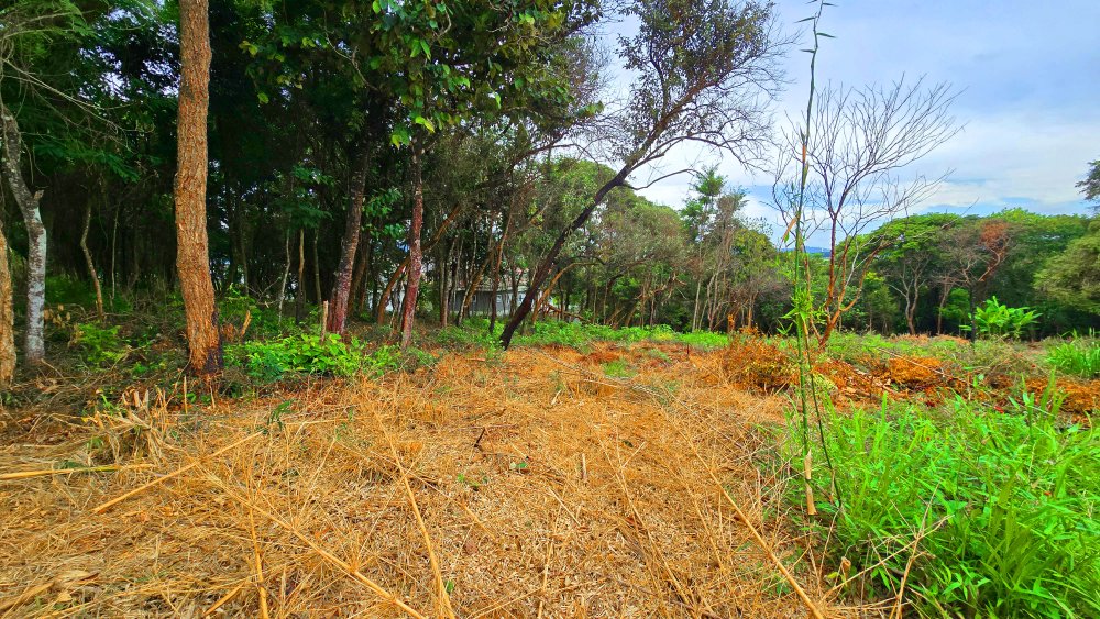 Terreno à venda, 2855m² - Foto 16