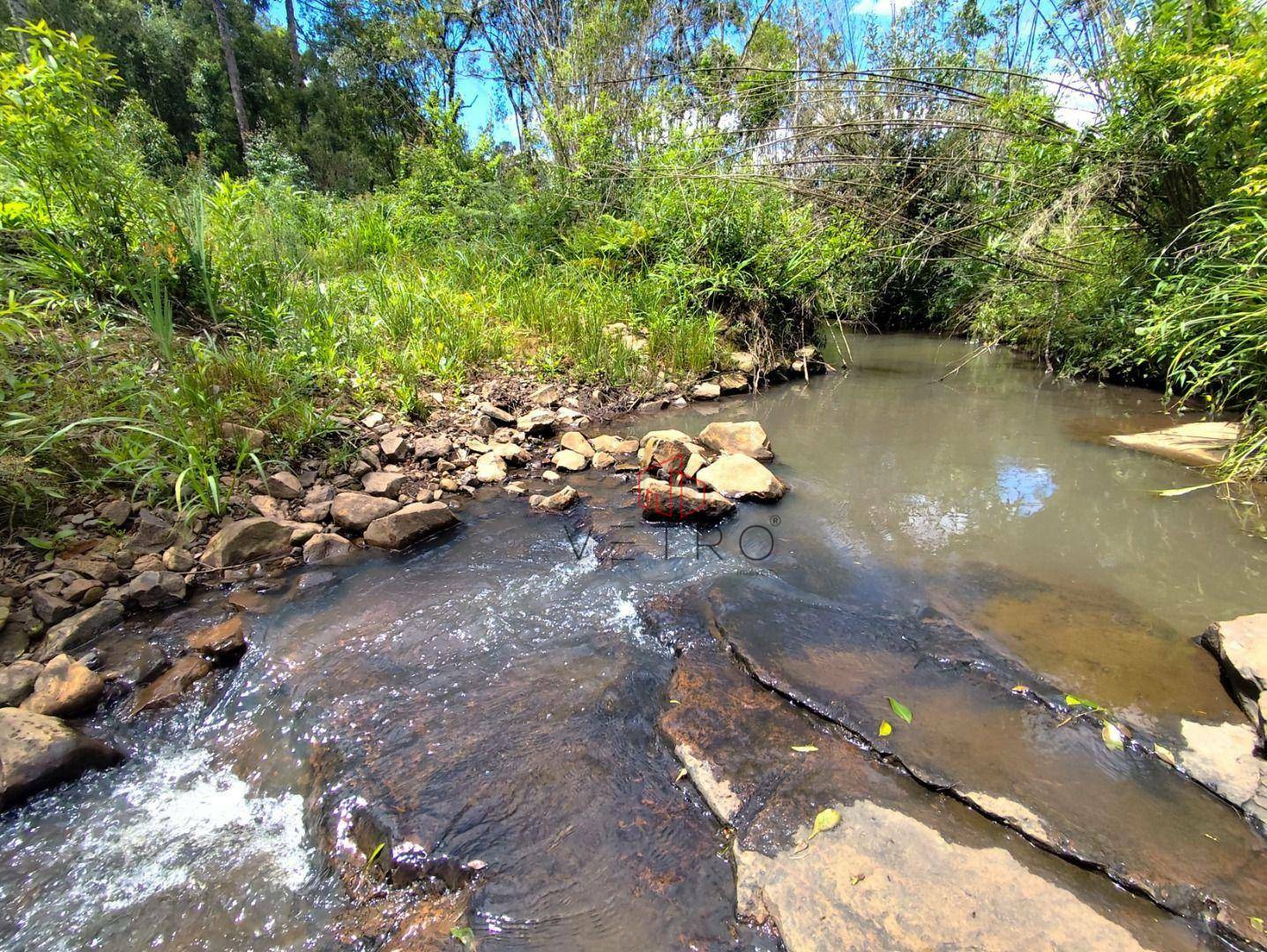 Sítio à venda, 40000M2 - Foto 3