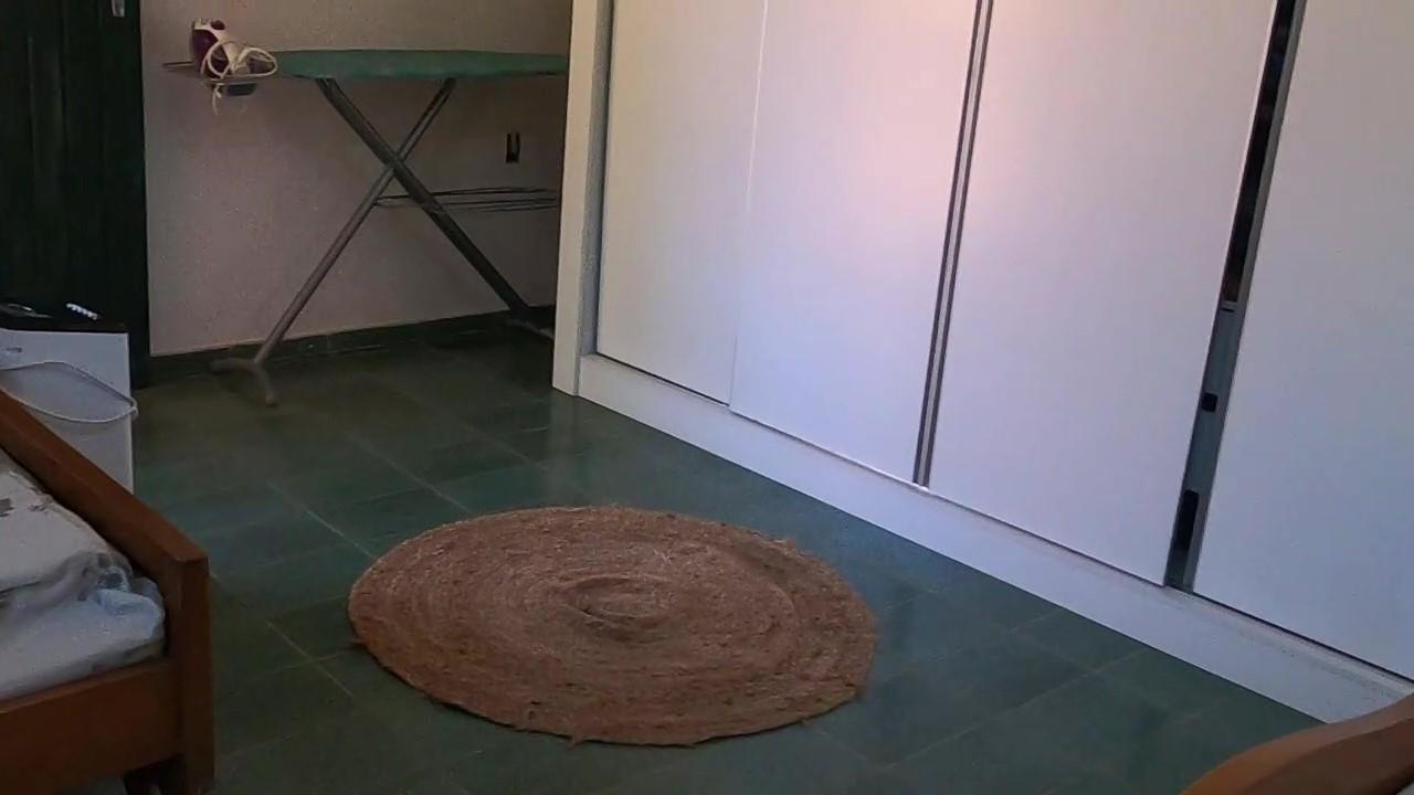 Chácara à venda com 5 quartos, 4300m² - Foto 29