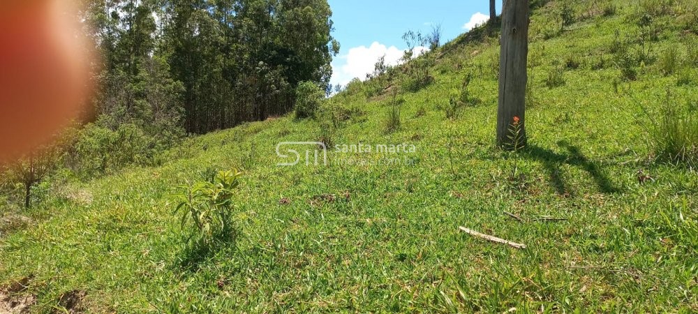 Fazenda à venda com 2 quartos, 150m² - Foto 21