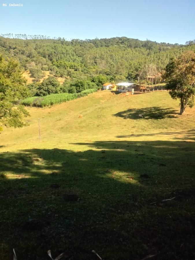 Sítio à venda com 3 quartos, 220m² - Foto 11