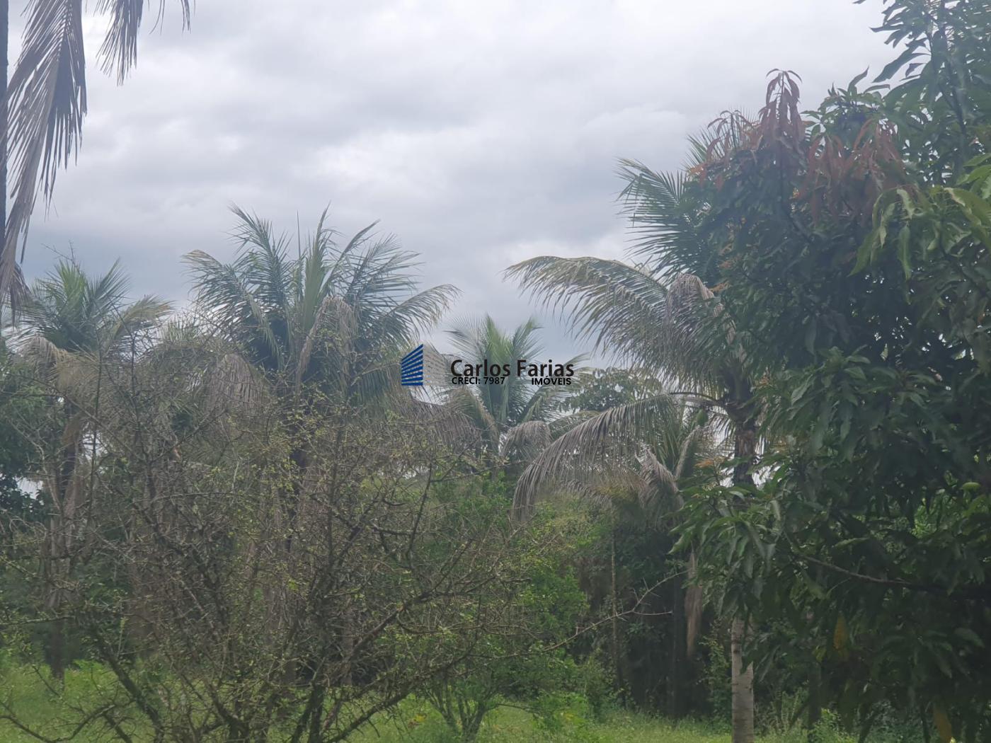 Fazenda à venda com 4 quartos, 300m² - Foto 45