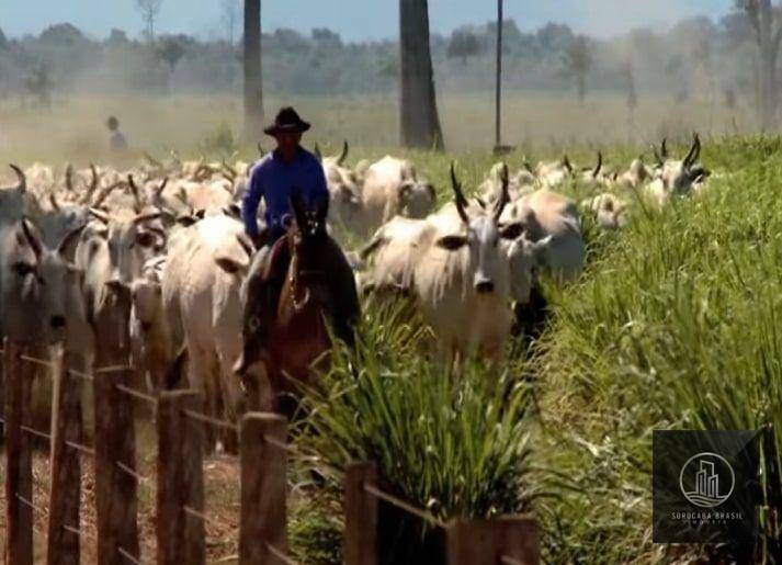 Fazenda à venda, 4270000000M2 - Foto 7