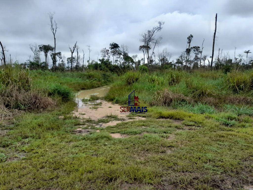 Fazenda-Sítio-Chácara, 2420 hectares - Foto 3