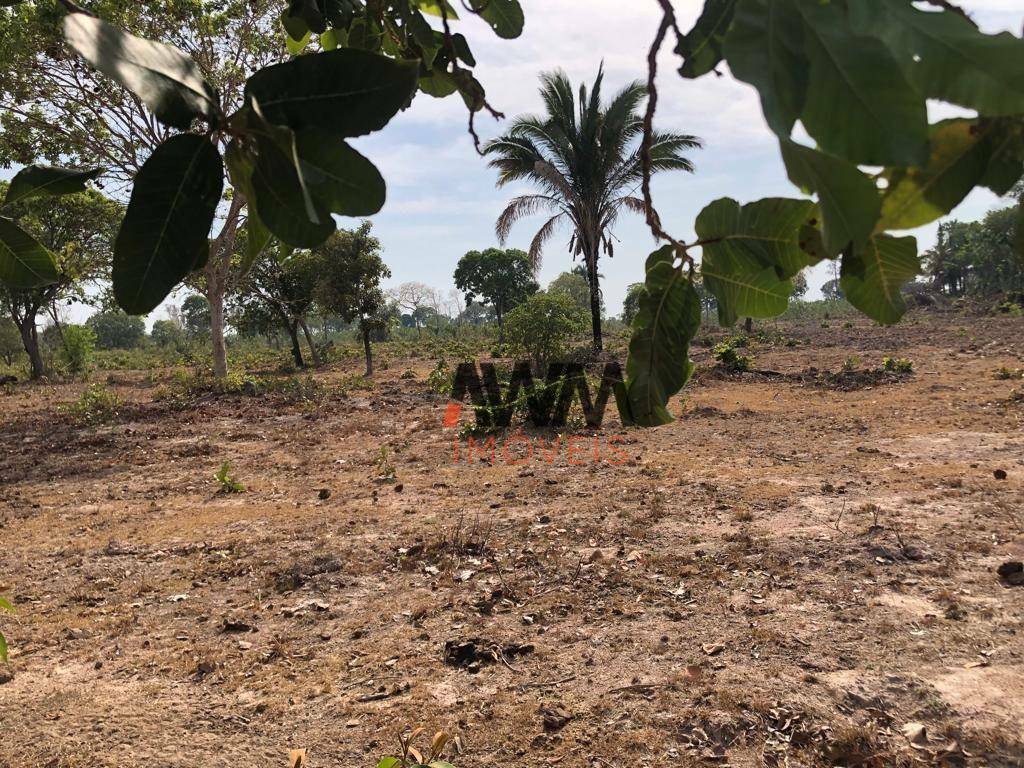 Fazenda-Sítio-Chácara, 1462 hectares - Foto 14
