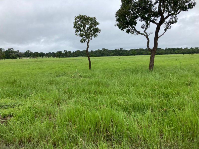 Fazenda-Sítio-Chácara, 692 hectares - Foto 2