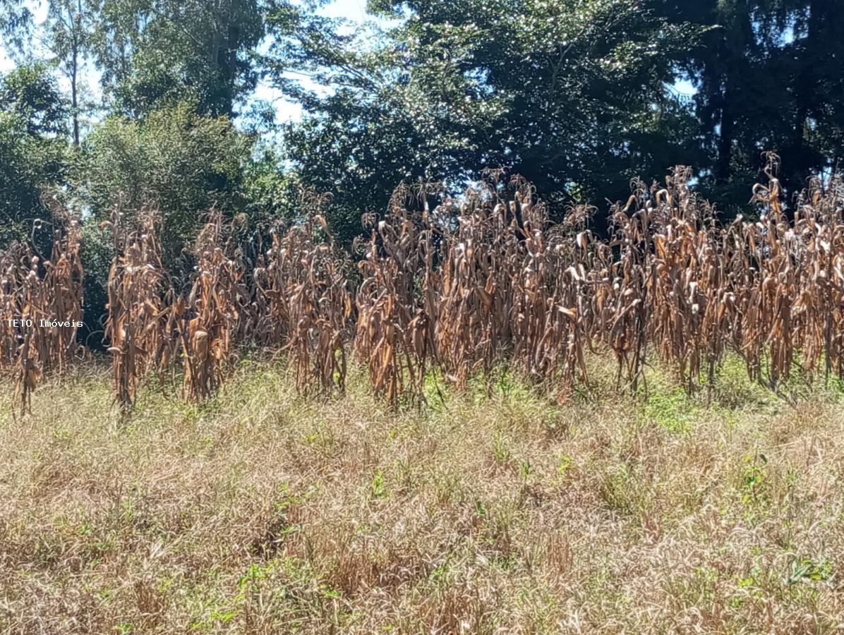 Fazenda à venda, 2m² - Foto 14