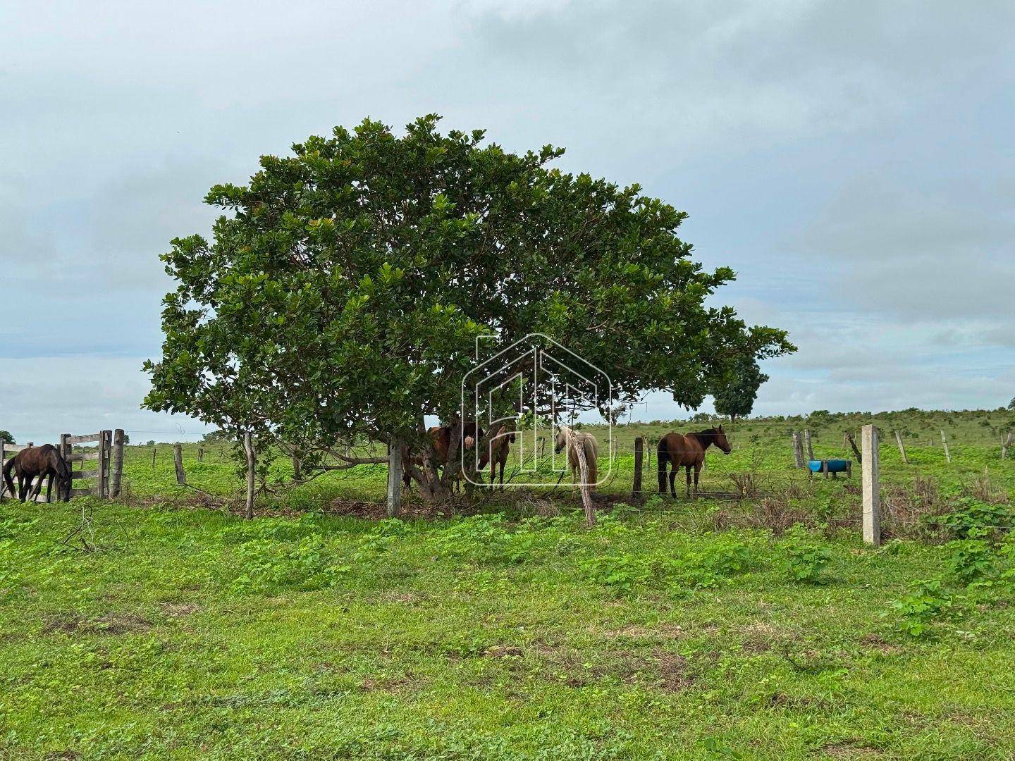 Fazenda à venda com 3 quartos, 26600000M2 - Foto 1