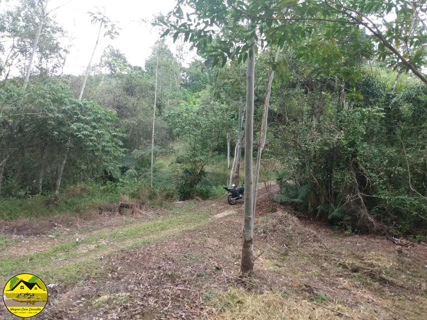 Fazenda à venda com 3 quartos, 30m² - Foto 4