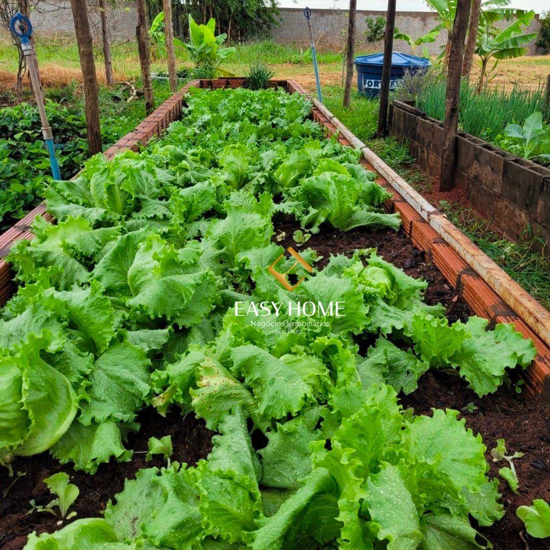 Chácara, 2 quartos, 6 hectares - Foto 3