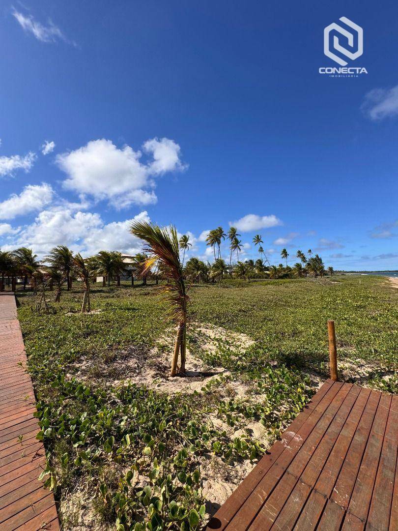 Casa à venda com 2 quartos, 95m² - Foto 46