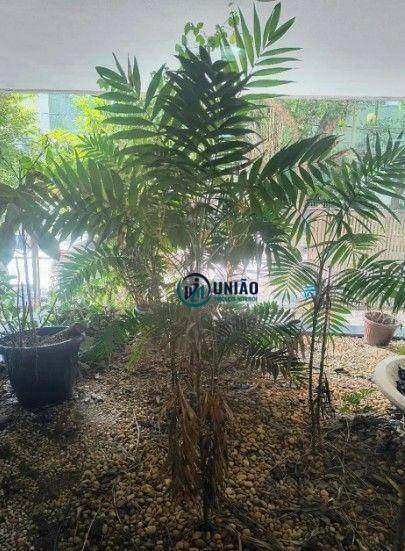 Apartamento à venda com 2 quartos, 72m² - Foto 16