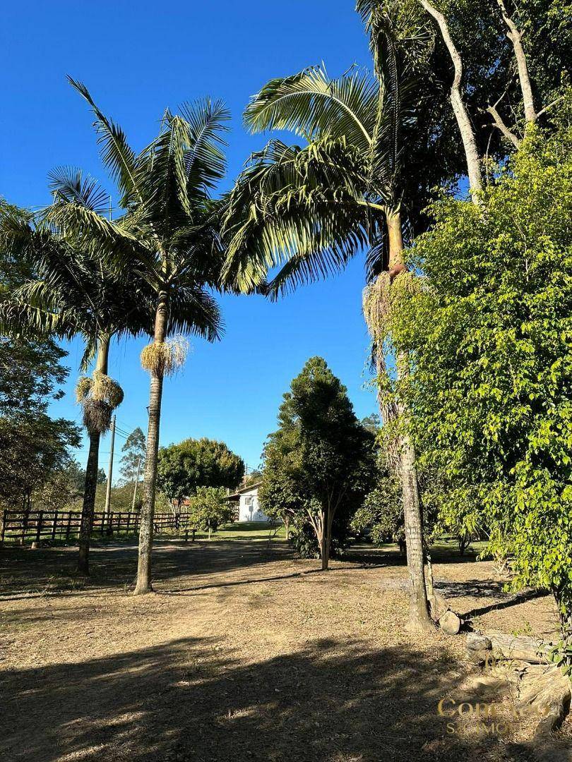 Chácara, 3 quartos, 5000 m² - Foto 58