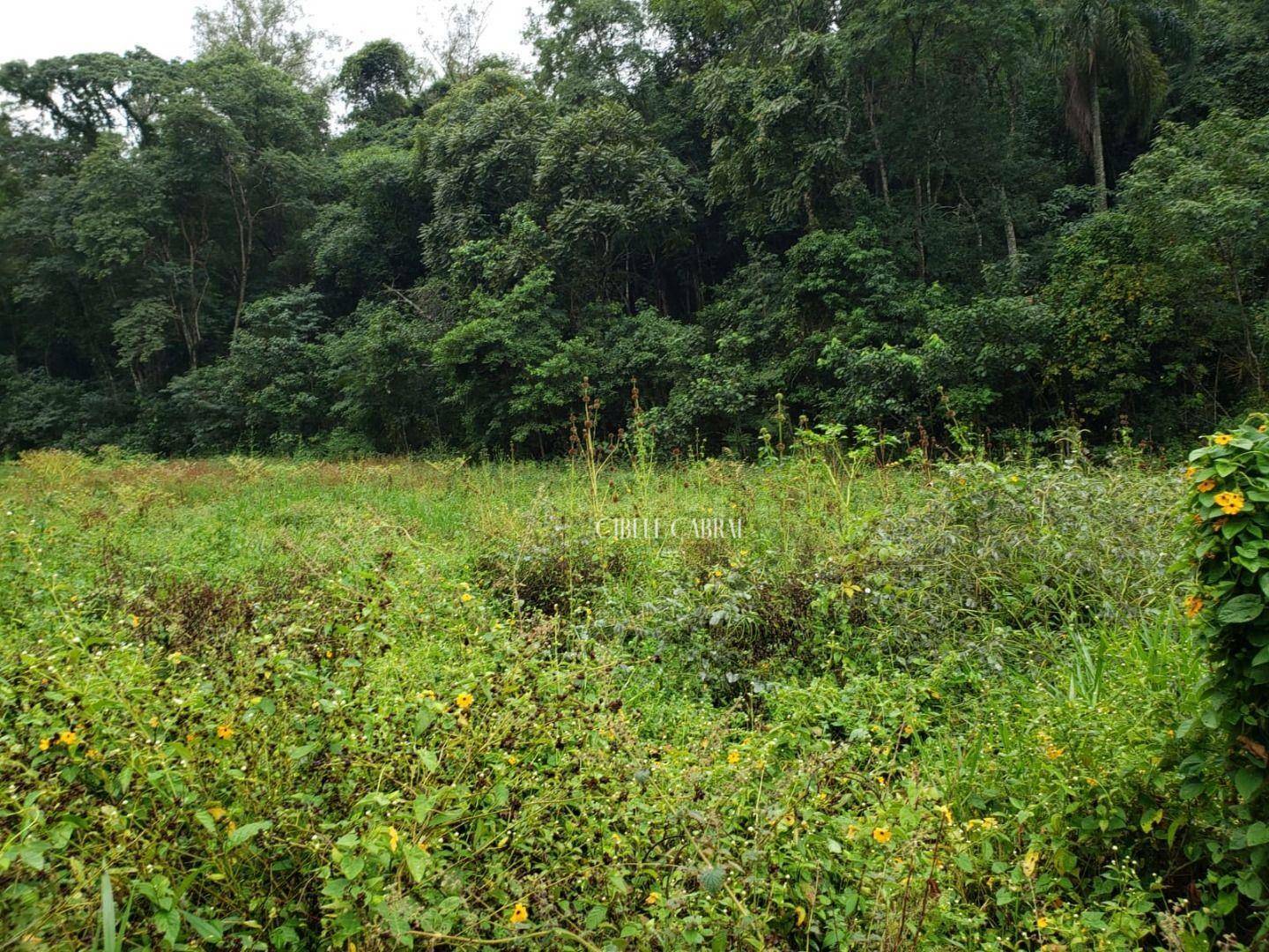 Terreno à venda, 20000M2 - Foto 4