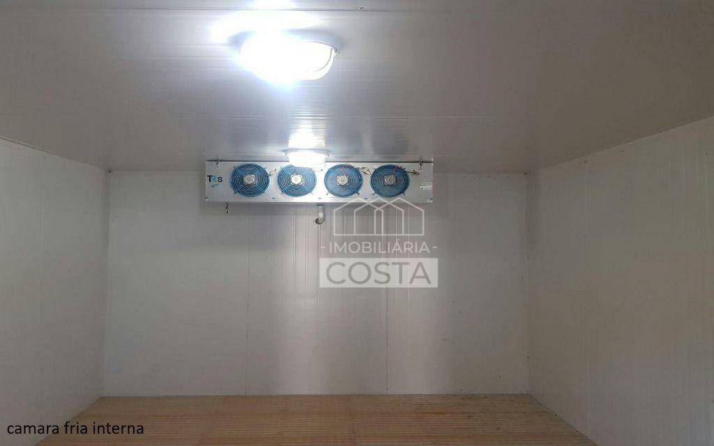 Sítio à venda com 4 quartos, 16600M2 - Foto 28