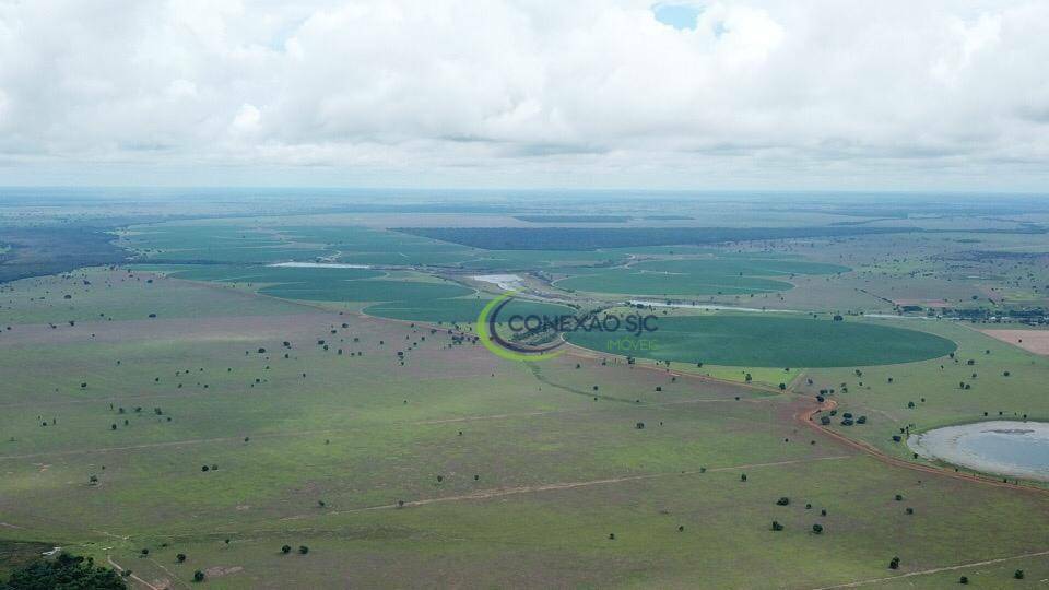 Fazenda à venda com 4 quartos, 56140000M2 - Foto 14