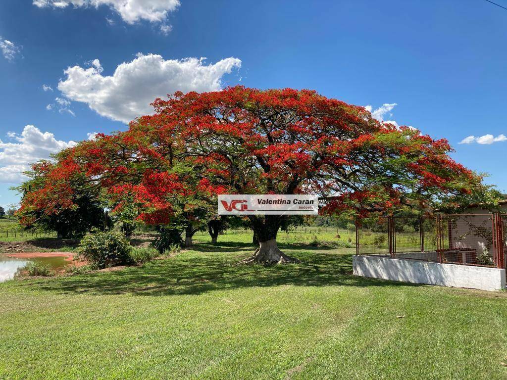 Sítio à venda com 4 quartos, 1000m² - Foto 21