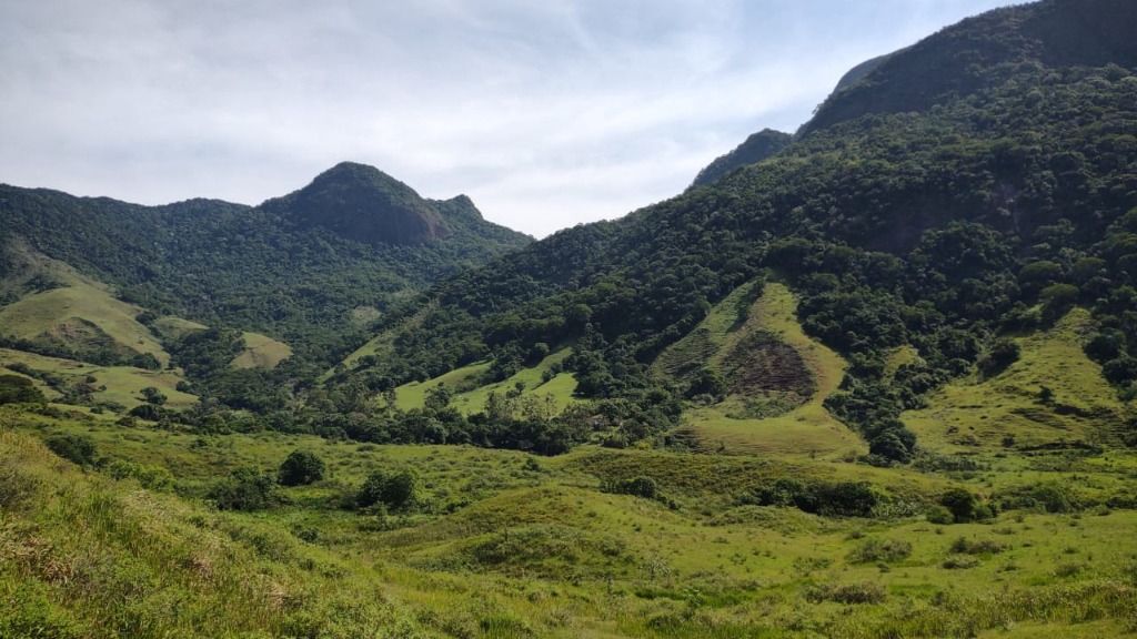 Fazenda-Sítio-Chácara, 252 hectares - Foto 3