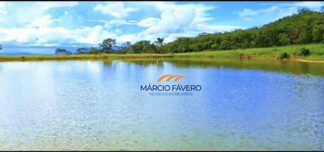 Fazenda-Sítio-Chácara, 980 hectares - Foto 1