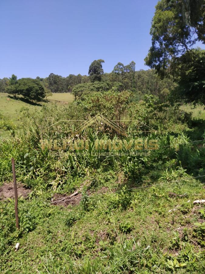 Fazenda à venda, 41000m² - Foto 9