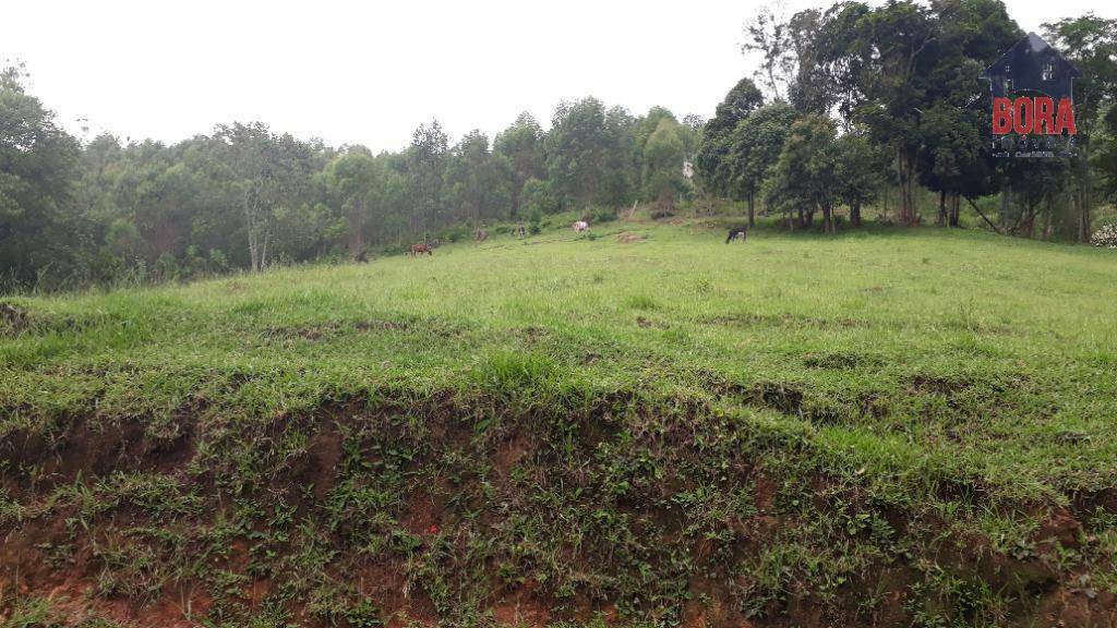 Terreno à venda, 500000M2 - Foto 17