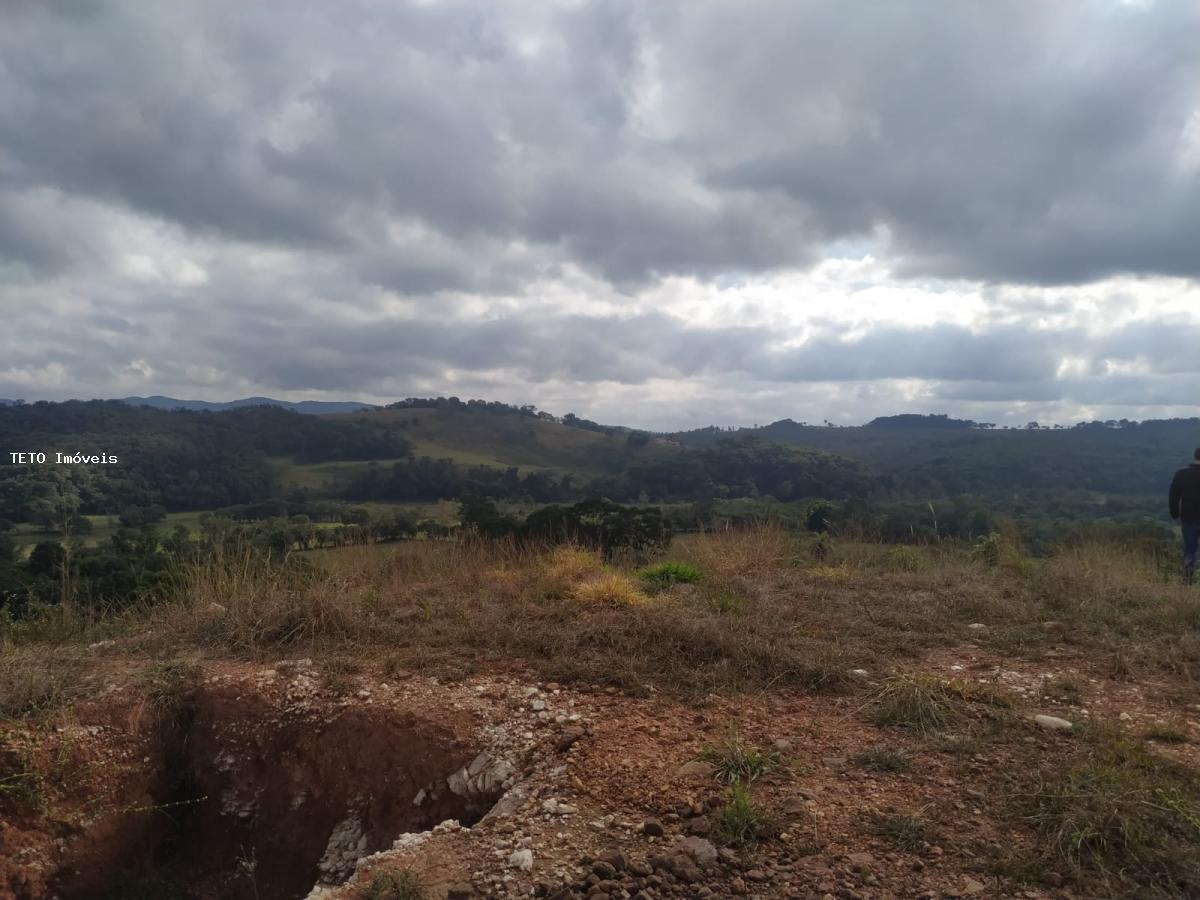 Fazenda à venda com 2 quartos, 10m² - Foto 62