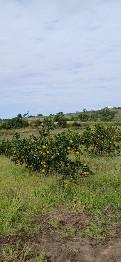 Sítio à venda com 3 quartos, 67000m² - Foto 4