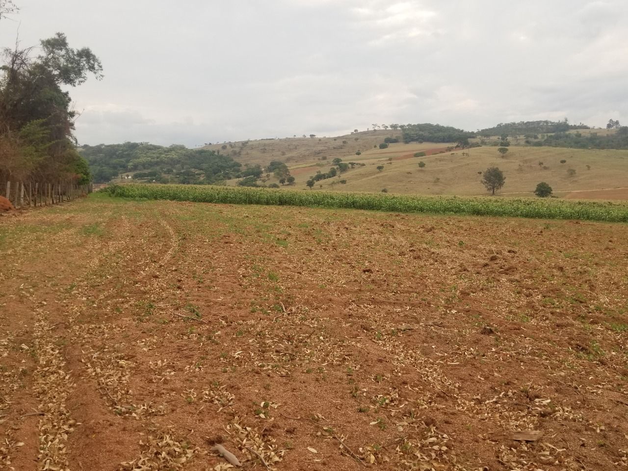 Fazenda à venda, 1839200M2 - Foto 10