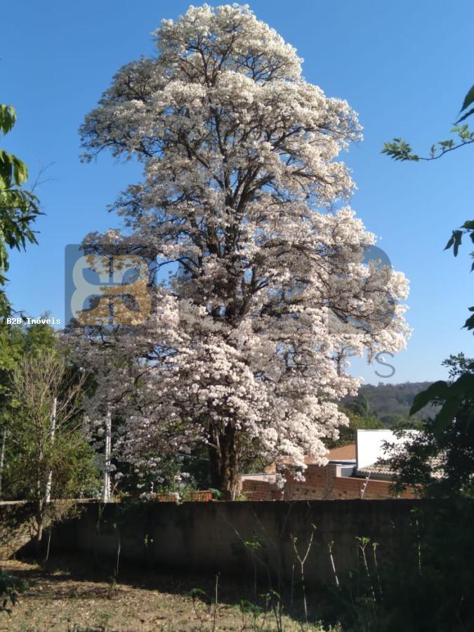 Casa à venda com 2 quartos, 2000m² - Foto 3