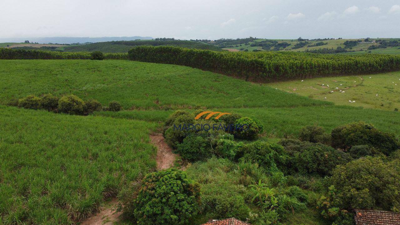 Fazenda à venda, 1076900M2 - Foto 8