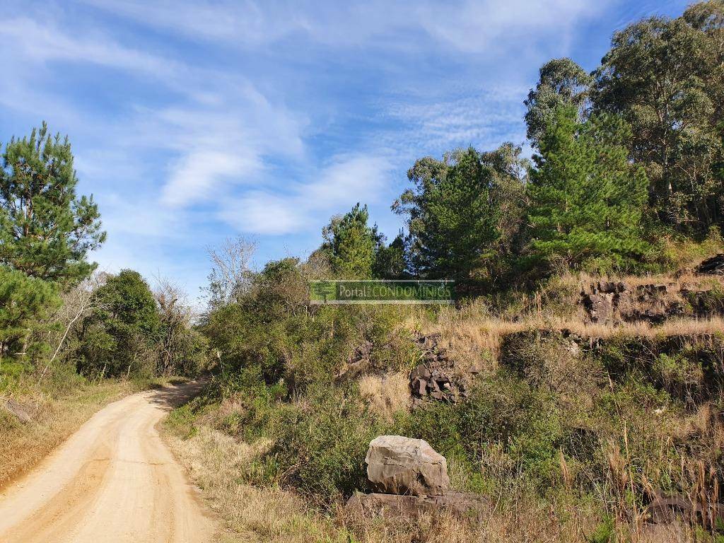 Terreno à venda, 15600M2 - Foto 25