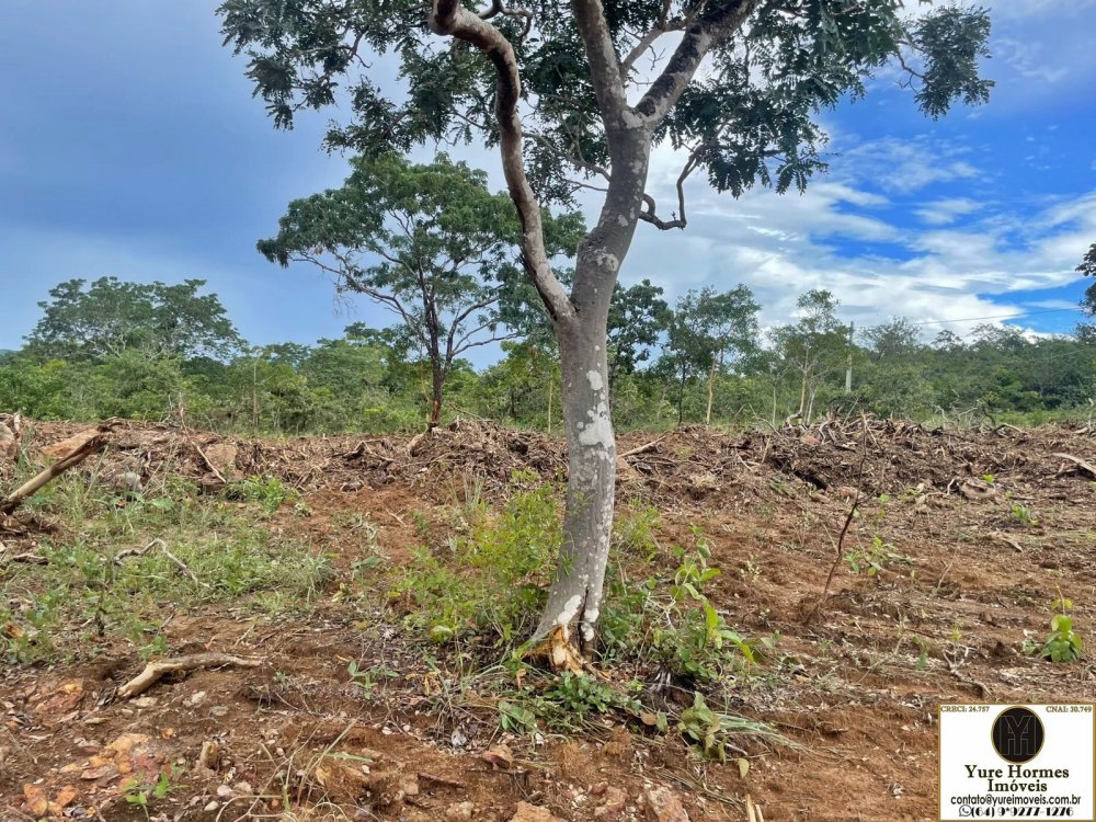 Fazenda à venda com 20 quartos, 3740m² - Foto 16