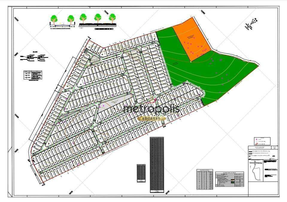 Loteamento e Condomínio à venda, 1000M2 - Foto 30
