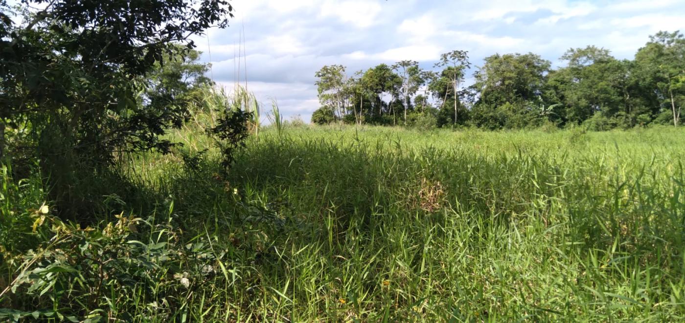 Fazenda à venda, 25000m² - Foto 3