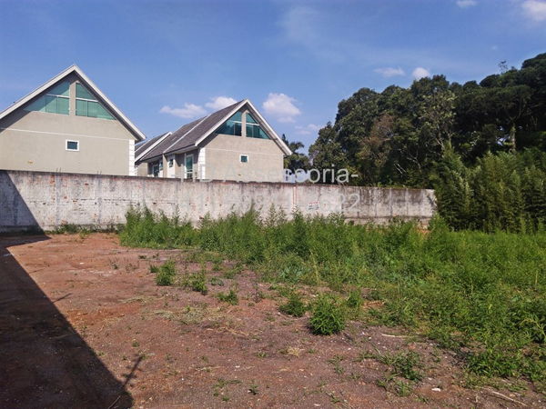 Terreno à venda, 1980m² - Foto 6