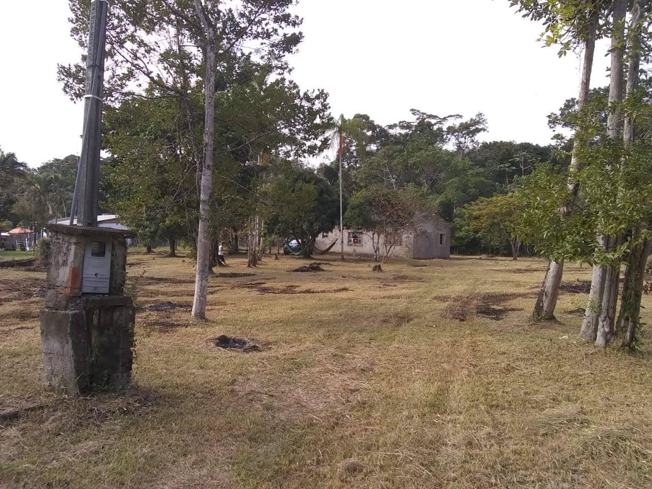 Fazenda à venda com 2 quartos, 3500m² - Foto 24