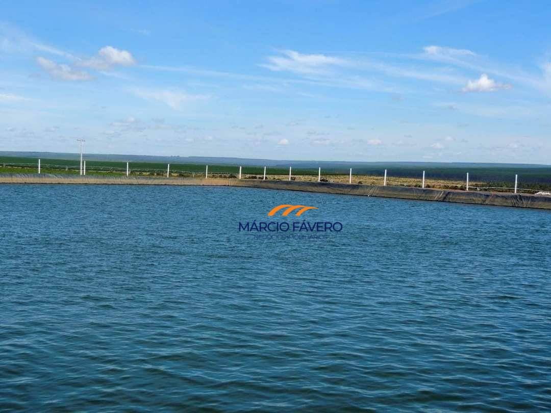 Fazenda, 2050 hectares - Foto 4